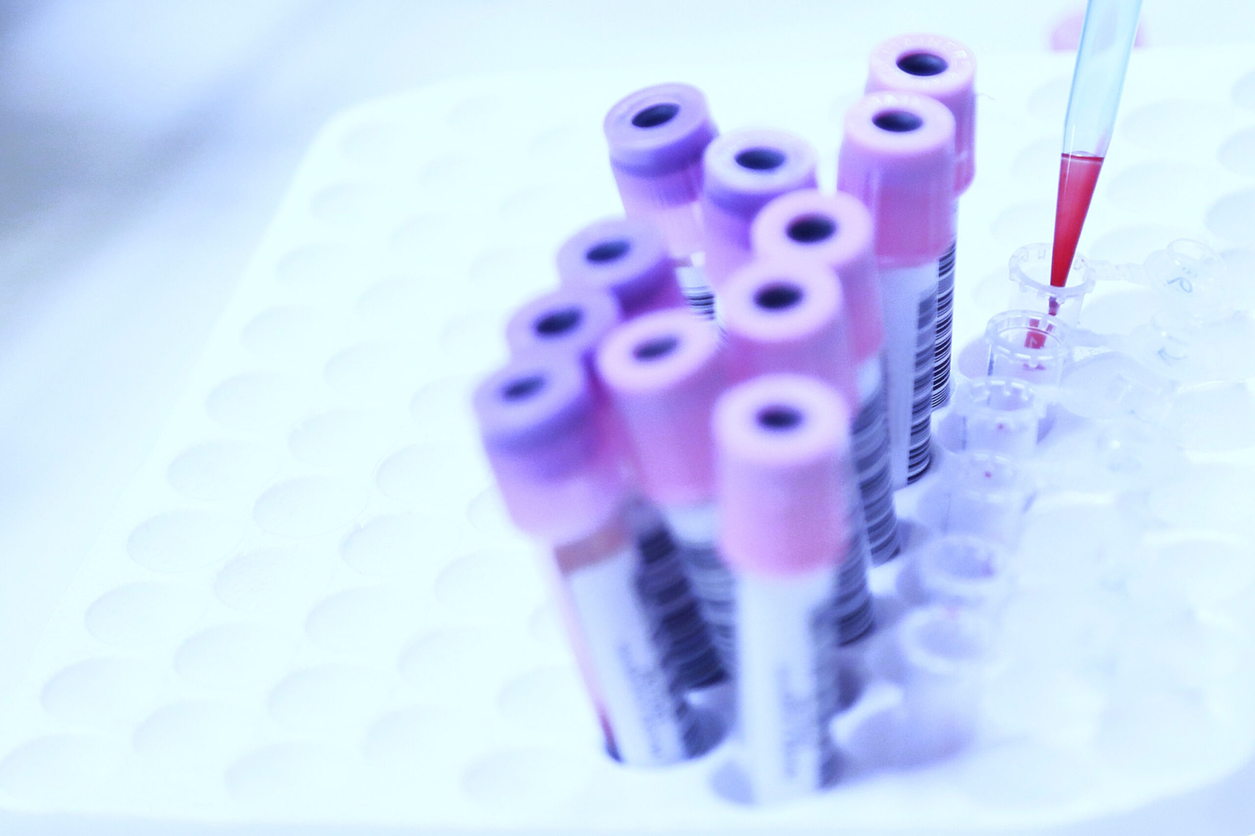 std blood test dubai